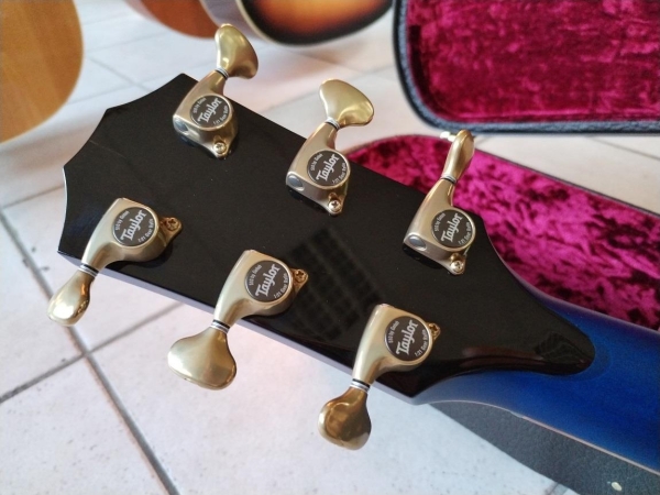 Taylor GA Custom Shop